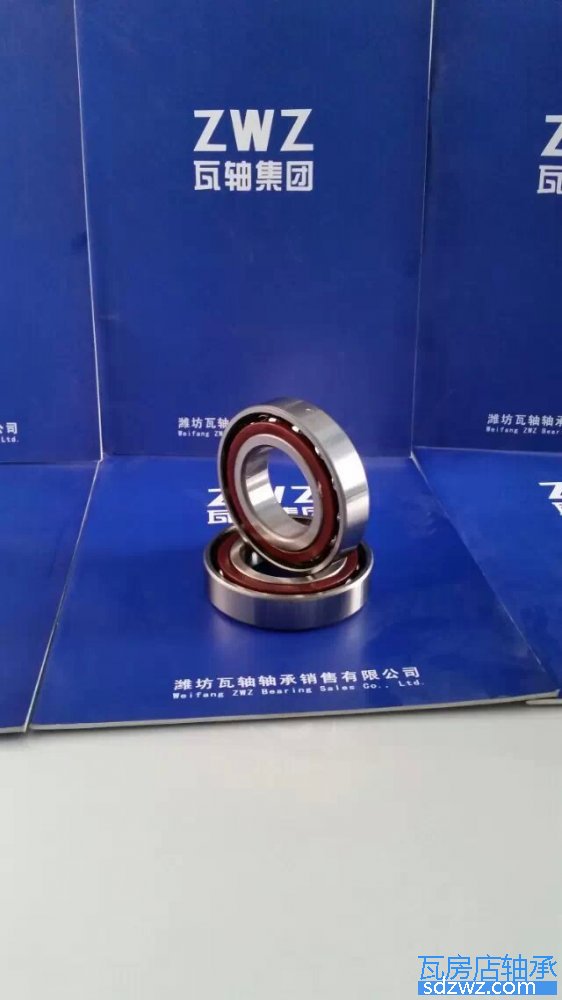 配對(duì)角接觸球軸承 7313BM/DF配對(duì)角接觸球軸承